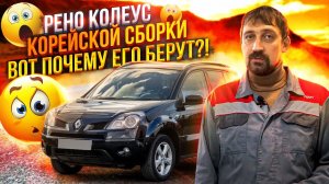 Все по существу о Renault Koleos 2008 2.5L 4WD |  Куда смотреть при покупке | Мнение Эксперта