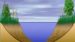 Как образуется болото