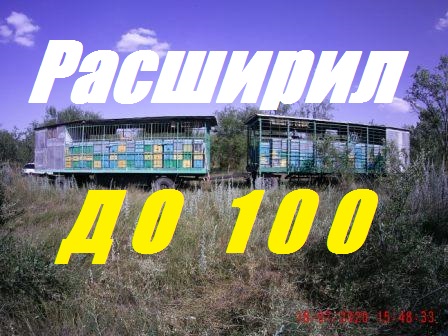 До 100 пчелосемей расширил пасеку.Готовим пчел зимовать. 8 рамочные корпусные улья. смотреть онлайн