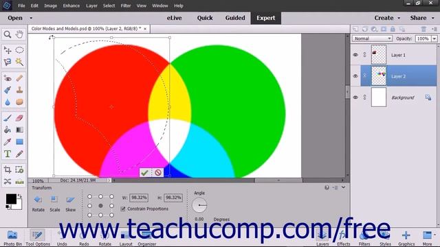 Photoshop Elements 15 Tutorial Transforming Selections Adobe Training смотреть онлайн