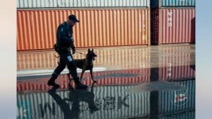 Бывших не бывает 1, 2, 3, 4, 5, 6, 7, 8, 9, 10, 11, 12 серия - Анонс