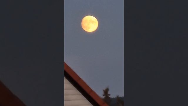 Красная Луна 🌙 смотреть онлайн