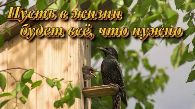 Поздравление с 8 Марта смотреть онлайн