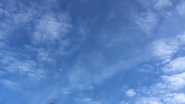 Бакинские бойные! Тренировка молодёжи 2019 года. Катание на хвостах. смотреть онлайн