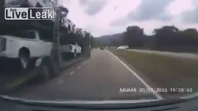 LiveLeak com Close Shave смотреть онлайн