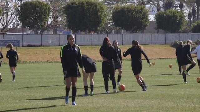 Tobin: Queen of the Nutmeg смотреть онлайн
