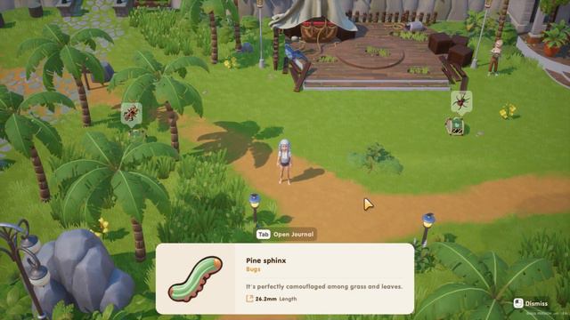 All 30 Insect Location Spawn and Time In Spring - Coral Island смотреть онлайн