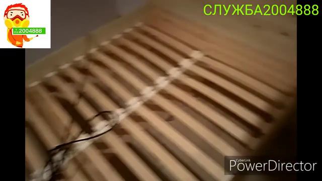 Жили были два клопа(профобработка от клопов) смотреть онлайн