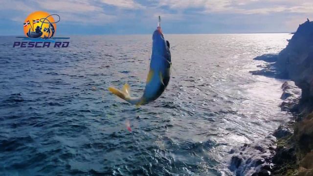 Pesca Y Cocina : Bermuda Chub ... El Pez PuPu Basura o Delicia ?? смотреть онлайн