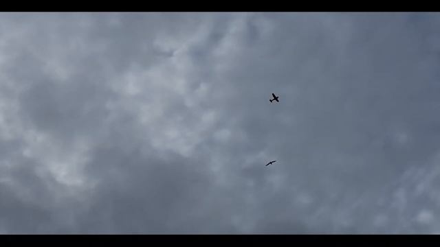 KANONERSKIIsland (Канонерский остров) смотреть онлайн