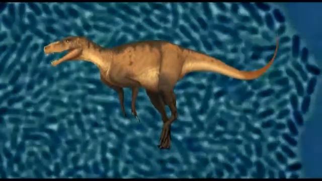 Baktertia Enterococcus Faecalis