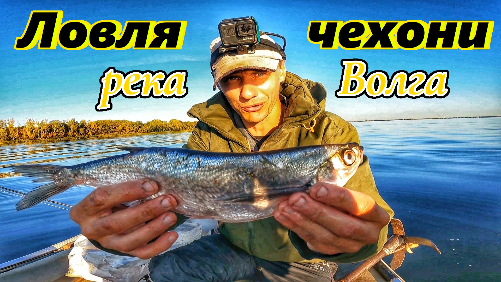 ЧЕХОНЬ/ЛОВЛЯ ЧЕХОНИ/РЫБАЛКА НА ВОЛГЕ/ГДЕ ИСКАТЬ И ЛОВИТЬ ЧЕХОНЬ НА ВОЛГЕ У Г. САМАРЫ/ОСЕННЯЯ РЫБАЛКА смотреть онлайн