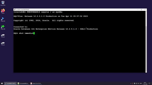 Oracle Database 12c to 19c Upgrade Manually on Linux смотреть онлайн
