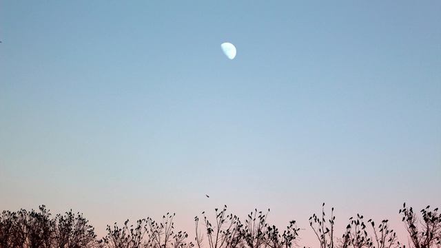 Moon river｜Jazz & popular piano смотреть онлайн