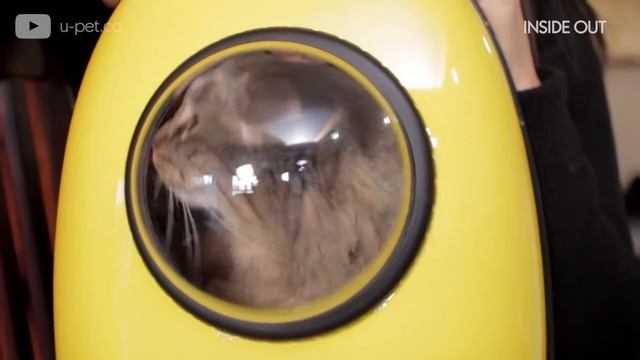 СЧАСТЛИВЫЙ КОТ В РЮКЗАКЕ С ОКНОМ U-Pet. СЕРИЯ СМЕШНЫЕ ЖИВОТНЫЕ КОШКИ смотреть онлайн