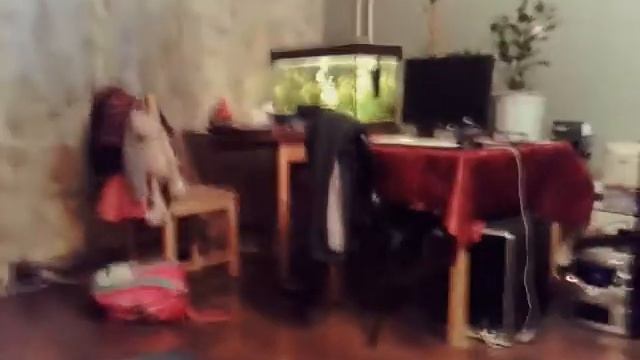 Проба камеры Line! | Красивая музыка... смотреть онлайн