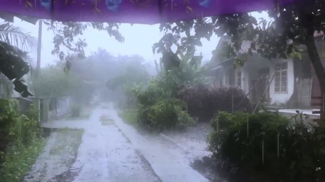 BEAUTIFUL RAIN, STRONG WINDS AND LIGHTNING | SCARY WALKING IN THE RAIN | RAIN SOUNDS FOR SLEEPING смотреть онлайн