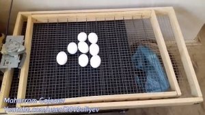 Самодельный Инкубатор с автоматическим переворотом яиц