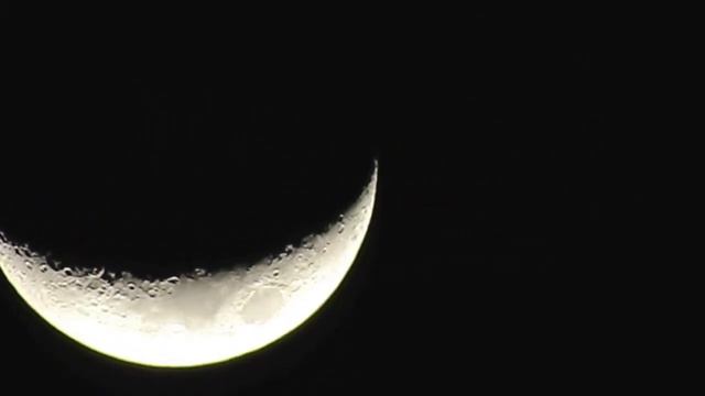 My Canon PowerShot SX50hs Really Awesome Zoom !!