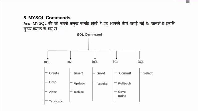 B.A B.Com B.Sc Vocational Computer || PHP || Important Question & Answer SEC B || MGSU websol смотреть онлайн