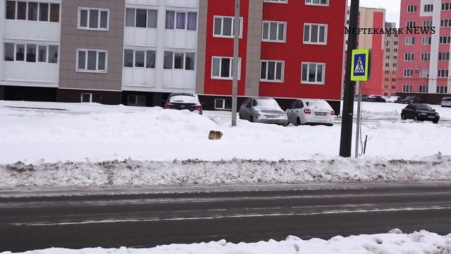 Дорога есть, порядка нет смотреть онлайн
