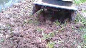 Электрокультиватор Лоплош.Обработка целины.