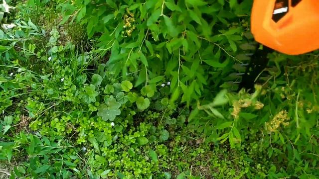 Удачная покупка, теперь мои кусты будут красивые! смотреть онлайн