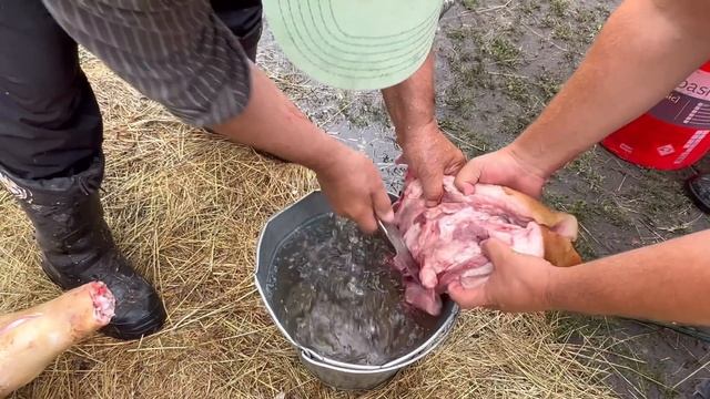 Мʼясник з 45 річним стажем показує і розповідає як розробляє тушу свині ???? смотреть онлайн