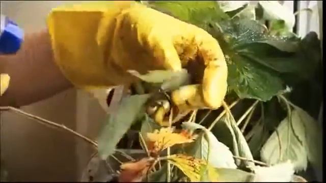 ЗАРАБОТОК В ИНТЕРНЕТЕ СИДЯ НА ДИВАНЕ! СОВЕТЫ ОТ ПЕРВОГО КАНАЛА!