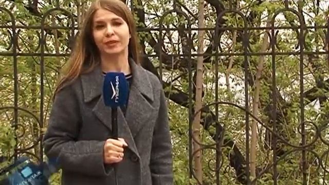 В Самаре презентовали предварительную концепцию развития "дачи со слонами" смотреть онлайн