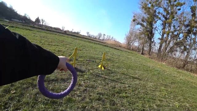 Сельский влог ~ БОРДЕР КОЛЛИ на даче | Как мы от клещей спасаемся? смотреть онлайн