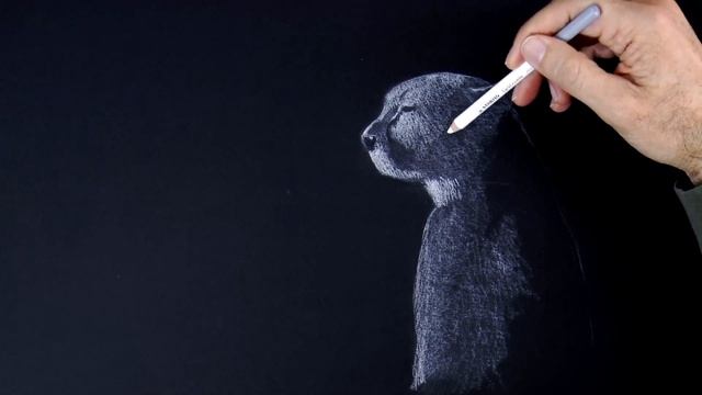 HOW TO DRAW A CHEETAH - Long Video Tutorial - White Pencil on Black Paper смотреть онлайн