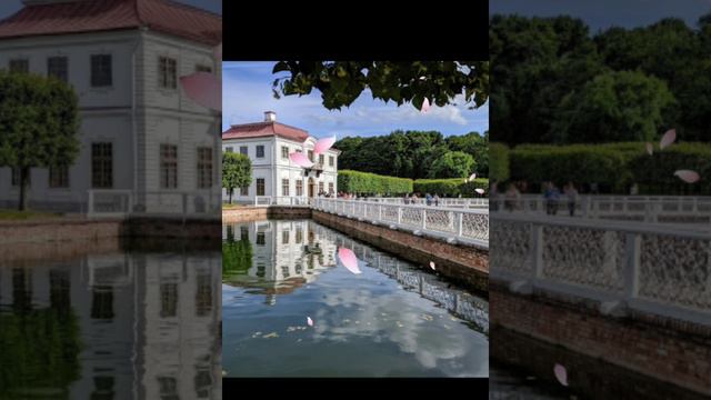 #сад #ландшафт #природа #искусство #алтай #АГУ смотреть онлайн