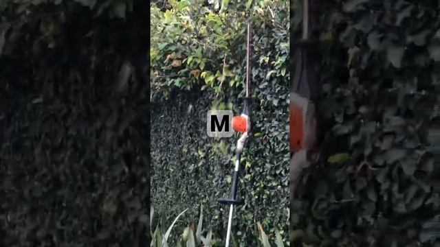 Poda de Hera com podadeira articulada HLA 56 dá Stihl смотреть онлайн