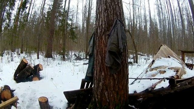 ✔️ Нашёл в лесу дом на дереве Рыбалка на хищника в лесной речке смотреть онлайн