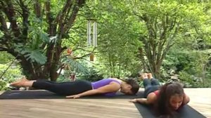 Йога для начинающих. полная версия.