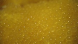 Как засолить щучью икру дома! Солёная рассыпчатая икра щуки без запаха!