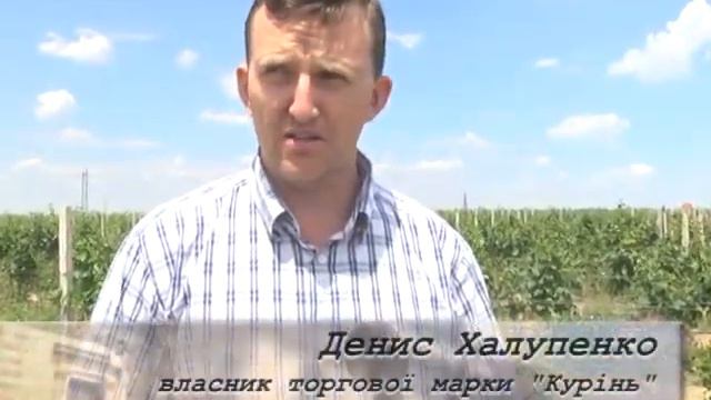 Там, де ти живеш_Ліщенко_К страусам та троглодитам_26 06 2014