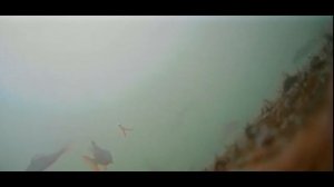 Эхолот для рыбалки с камерой и регистратором в действии