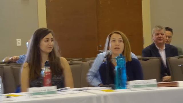 SRS CAB Full Board Meeting Morning Session July 30, 2019 смотреть онлайн