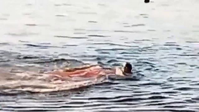 АКУЛА РАСТЕРЗАЛА ПАРНЯ он мог только кричать