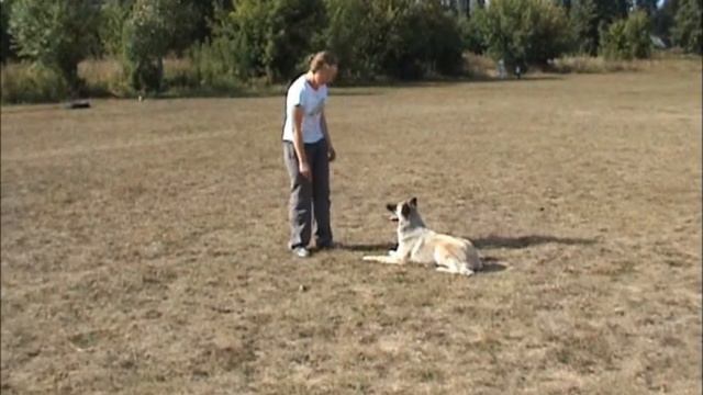 Фристайл с Рэйчел смотреть онлайн