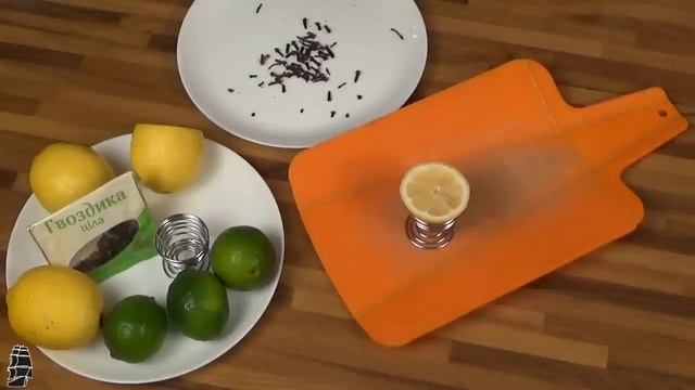 Как избавиться от комаров смотреть онлайн