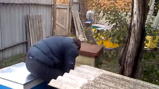 Обработка пчел из дым-пушки. Пчеловодство смотреть онлайн