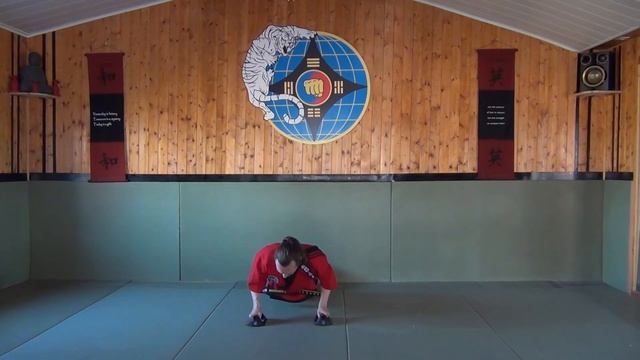 Mini workout Hapkido : Basic punching смотреть онлайн