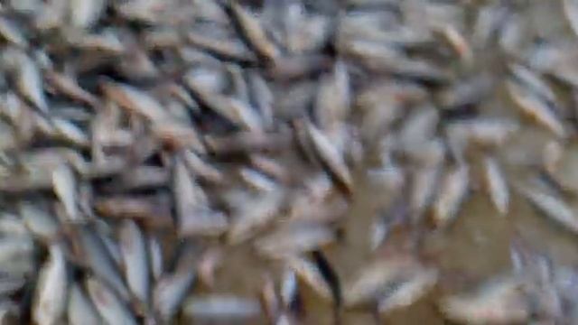 рыбалка на севере смотреть онлайн