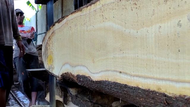 woodworking.kayu nangka terbesar 30 tahun buat kusen di gergaji sawmill.pohon kuning emas смотреть онлайн