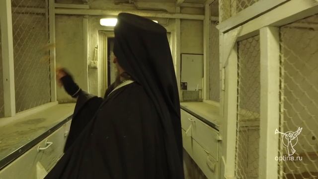 Кропление подсобного хозяйства святой водой в день Богоявления смотреть онлайн