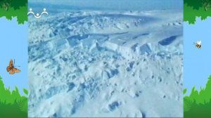 Утро в Шишкином Лесу. Антарктида