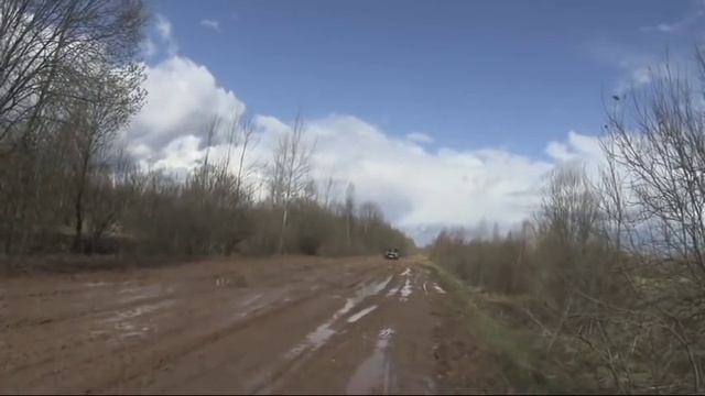 Охота на вальдшнепа весной ,с манком , на тяге , часть 2 смотреть онлайн